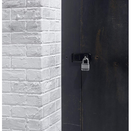 Porte cadenas Master Lock 723EURD pour portes de garages, remises, ateliers, cabanons